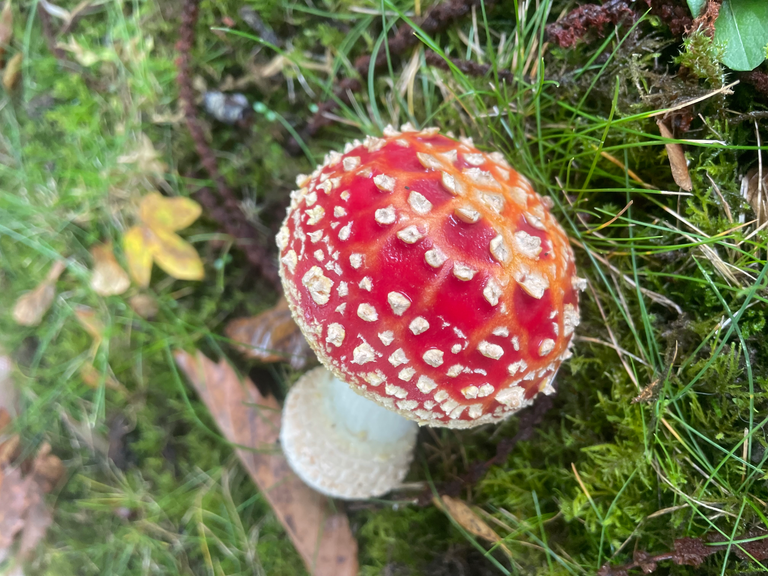 Wintersale bis zu 50%